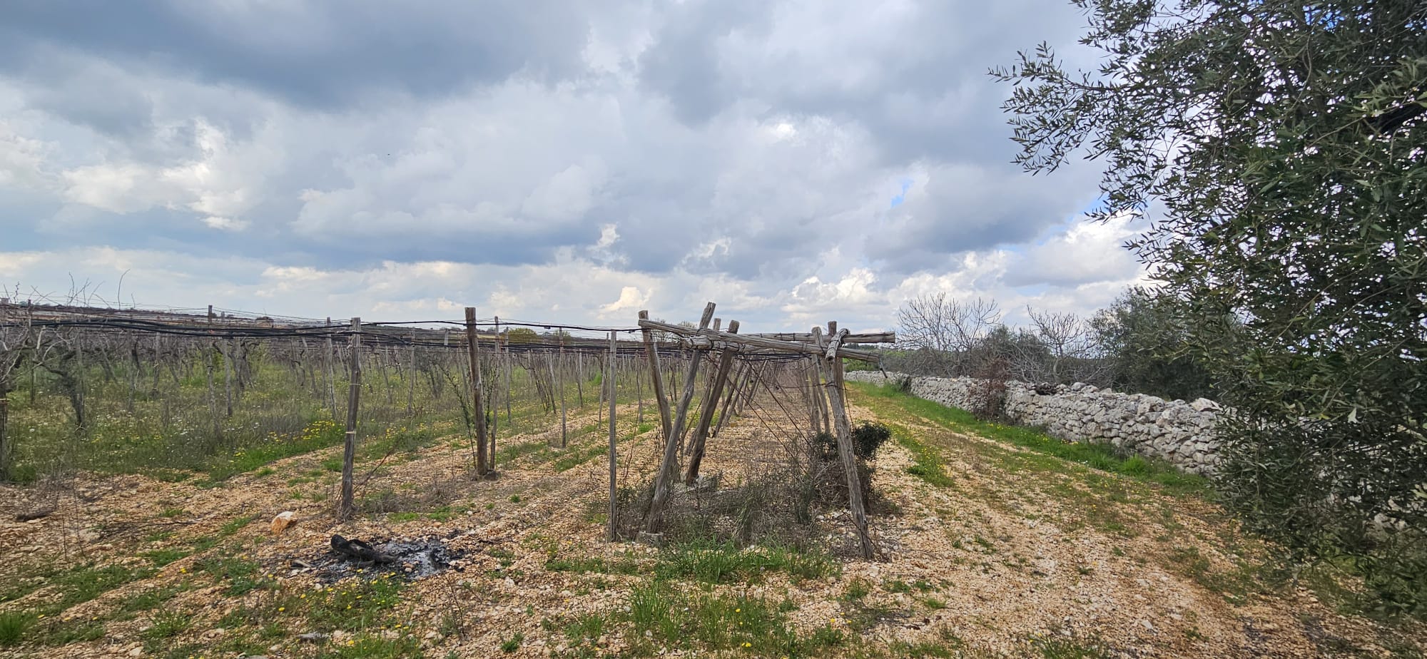 Terreno di 33.700 mq ca. con Fabbricato Rurale